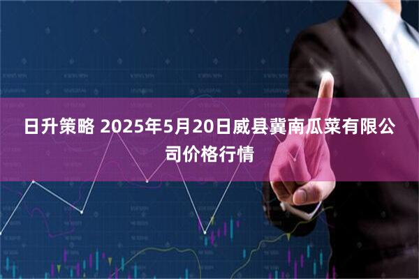 日升策略 2025年5月20日威县冀南瓜菜有限公司价格行情
