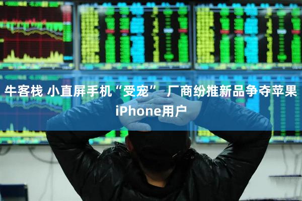 牛客栈 小直屏手机“受宠”  厂商纷推新品争夺苹果iPhone用户
