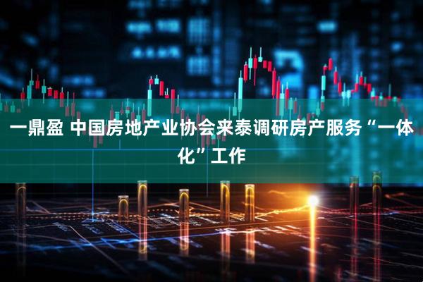 一鼎盈 中国房地产业协会来泰调研房产服务“一体化”工作