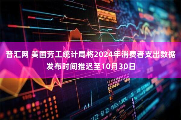 普汇网 美国劳工统计局将2024年消费者支出数据发布时间推迟至10月30日