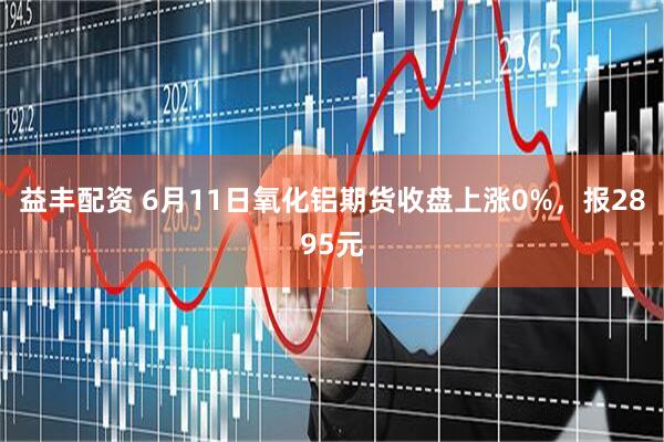 益丰配资 6月11日氧化铝期货收盘上涨0%，报2895元